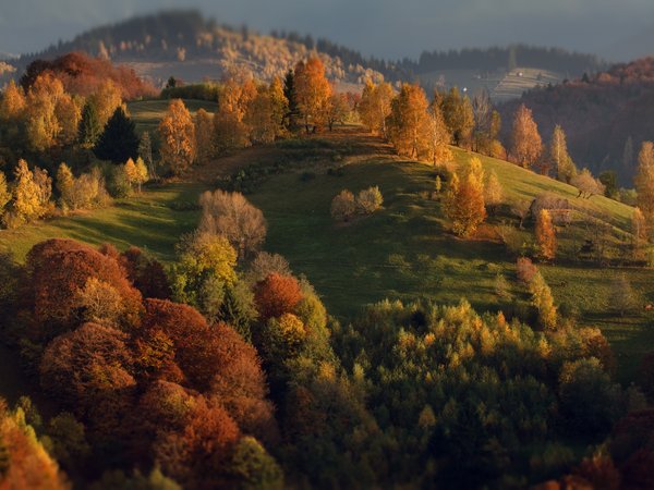Александр Перов, деревья, осень, пейзаж, природа, Румыния, холмы