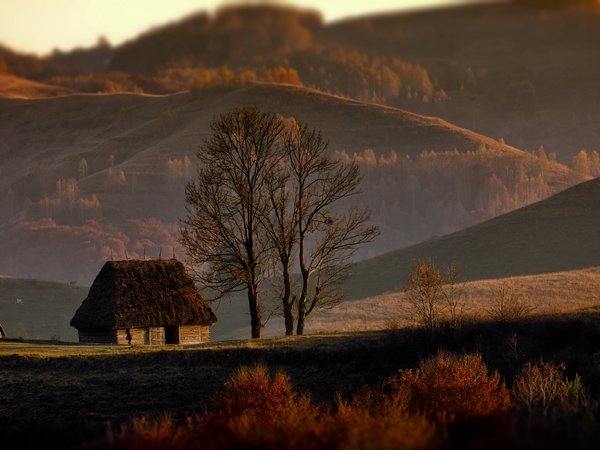 Александр Перов, деревья, дома, леса, осень, пейзаж, природа, Румыния, холмы