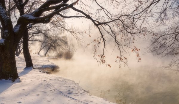 Обои на рабочий стол: Александр Плеханов, водоем, деревья, зима, Краснодар, парк, пейзаж, природа, снег