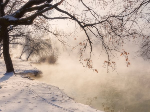 Александр Плеханов, водоем, деревья, зима, Краснодар, парк, пейзаж, природа, снег