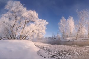Обои на рабочий стол: Алексей Богорянов, деревья, зима, Истра, пейзаж, природа, река, снег