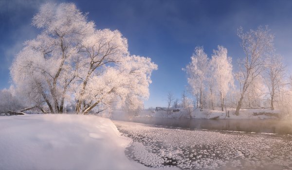 Обои на рабочий стол: Алексей Богорянов, деревья, зима, Истра, пейзаж, природа, река, снег