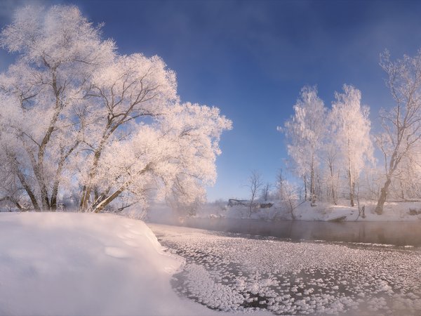 Алексей Богорянов, деревья, зима, Истра, пейзаж, природа, река, снег