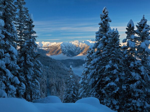 alps, bavaria, germany, Альпы, бавария, германия, горы, ели, зима, снег
