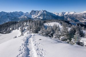 Обои на рабочий стол: Альпы, горы, деревья, зима, снег, швейцария