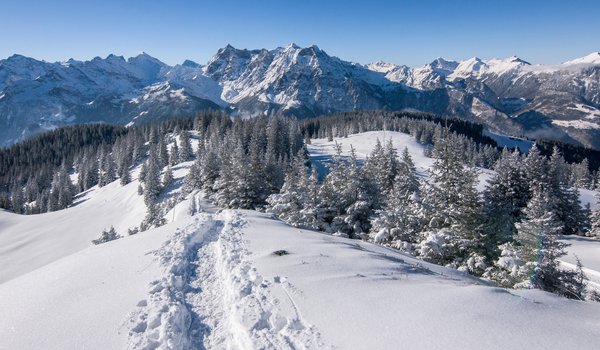 Обои на рабочий стол: Альпы, горы, деревья, зима, снег, швейцария