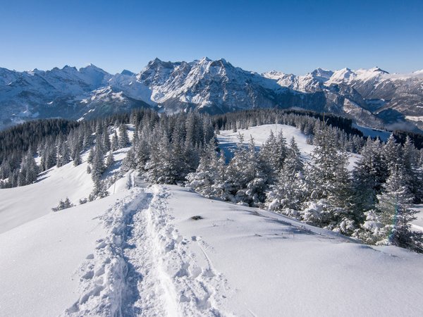 Альпы, горы, деревья, зима, снег, швейцария