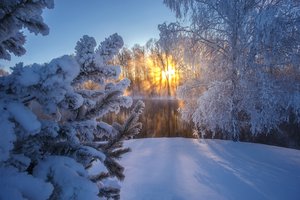 Обои на рабочий стол: Алтай, Андрей Базанов, деревья, ель, закат, зима, иней, река, россия, снег