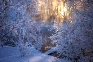 Обои на рабочий стол: Алтай, Андрей Базанов, деревья, зима, мороз, река, россия, снег, утро