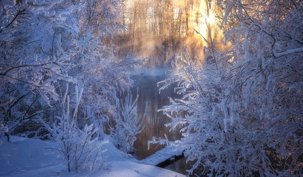Обои на рабочий стол: Алтай, Андрей Базанов, деревья, зима, мороз, река, россия, снег, утро
