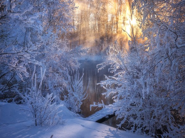 Алтай, Андрей Базанов, деревья, зима, мороз, река, россия, снег, утро