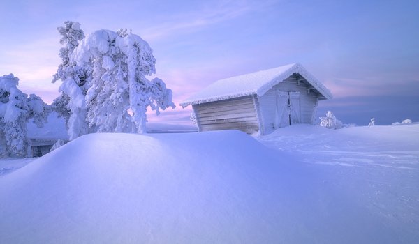 Обои на рабочий стол: Андрей Базанов, деревья, Заполярье, зима, избушка, россия, снег, сугробы, хижина
