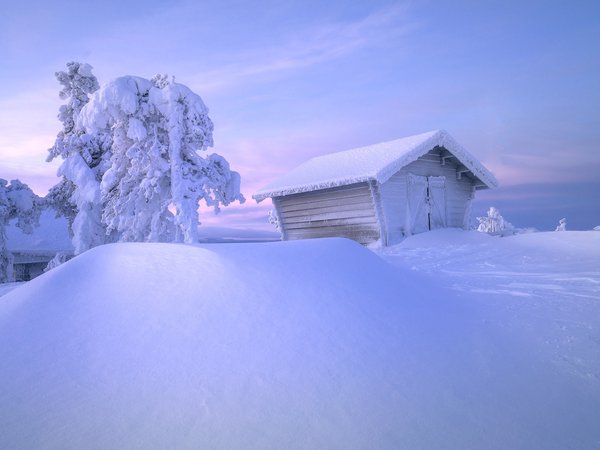 Андрей Базанов, деревья, Заполярье, зима, избушка, россия, снег, сугробы, хижина