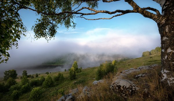Обои на рабочий стол: Андрей Чиж, дерево, камни, Косьва, облака, пейзаж, Пермский край, природа, река, склон, туман