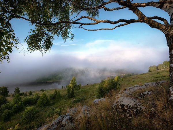 Андрей Чиж, дерево, камни, Косьва, облака, пейзаж, Пермский край, природа, река, склон, туман