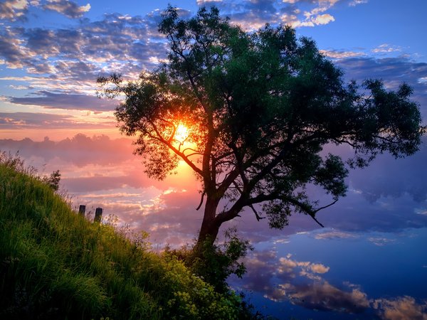 Андрей Чиж, берег, дерево, облака, отражение, пейзаж, природа, рассвет, река, склон, солнце, утро
