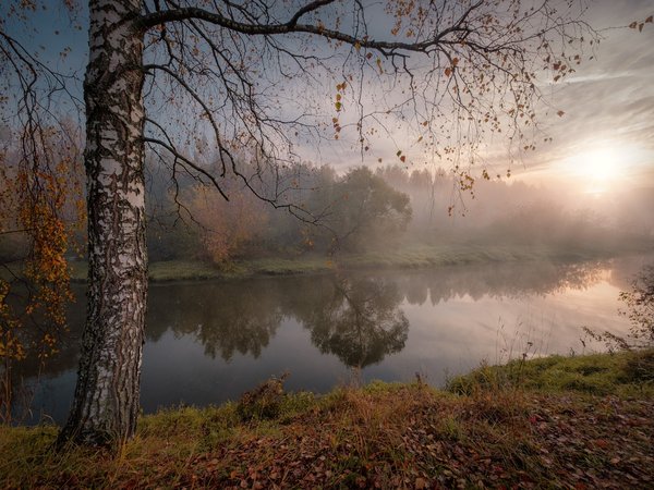 Андрей Чиж, береза, дерево, лучи, осень, пейзаж, природа, река, солнце, туман, утро