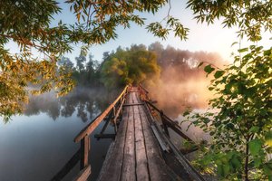 Обои на рабочий стол: Андрей Малыгин, ветки, деревья, мостик, пейзаж, природа, река, туман, утро