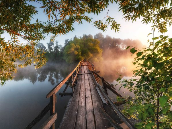 Андрей Малыгин, ветки, деревья, мостик, пейзаж, природа, река, туман, утро