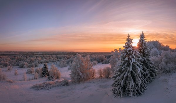 Обои на рабочий стол: Архангельская область, деревья, ели, закат, зима, леса, пейзаж, природа, снег