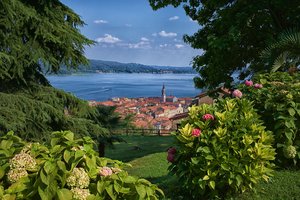 Обои на рабочий стол: Arona, italy, Lago Maggiore, Lake Maggiore, Арона, гортензия, италия, кусты, Лаго-Маджоре, озеро, панорама, цветы