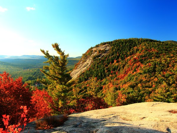 autumn, colors, fall, mountain, nature, горы, осень