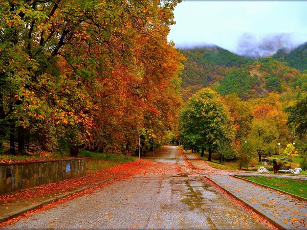 autumn, colors, fall, road, trees, деревья, дорога, осень