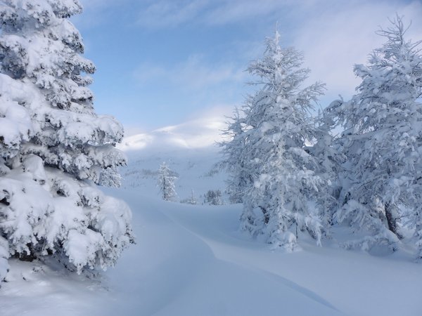 Alberta, Banff National Park, canada, Альберта, деревья, зима, канада, Национальный парк Банф, снег, сугробы