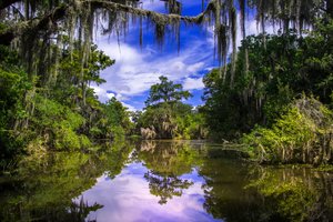 Обои на рабочий стол: Barataria, Louisiana, Баратария, деревья, Луизиана, отражение, река