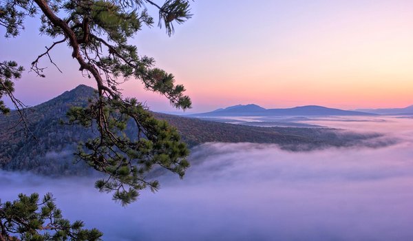 Обои на рабочий стол: Башкортостан, ветки, горы, дерево, пейзаж, природа, сосна, туман, Южный Урал