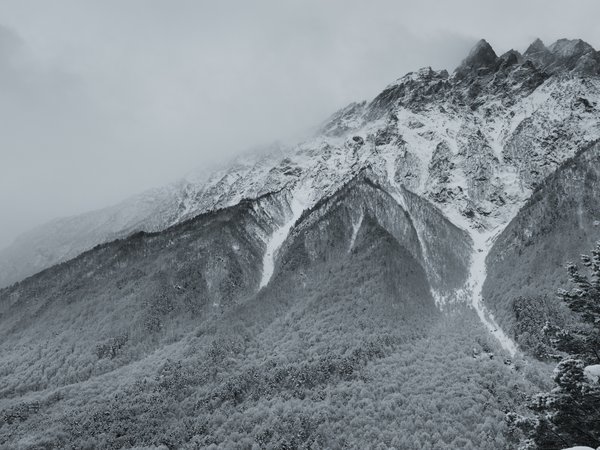 Батраз Табуев, горы, монохром, Северная Осетия, туман, Цей, чёрно-белое