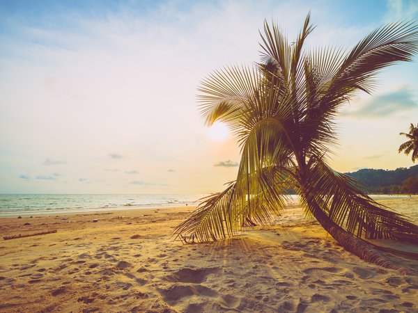 beach, beautiful, palms, paradise, sand, sea, seascape, summer, tropical, берег, волны, лето, море, небо, пальмы, песок, пляж
