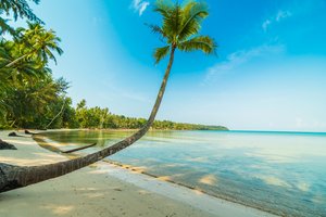 Обои на рабочий стол: beach, beautiful, palms, paradise, sand, sea, seascape, summer, tropical, берег, волны, лето, море, пальмы, песок, пляж