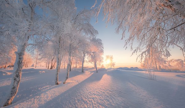 Обои на рабочий стол: Белая гора, деревья, зима, Пермский край, рассвет, россия, снег, утро