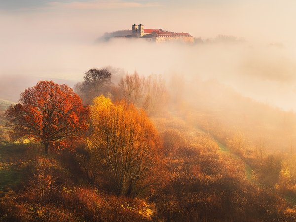 Bieganski Patryk, деревья, листья, осень, природа, туман