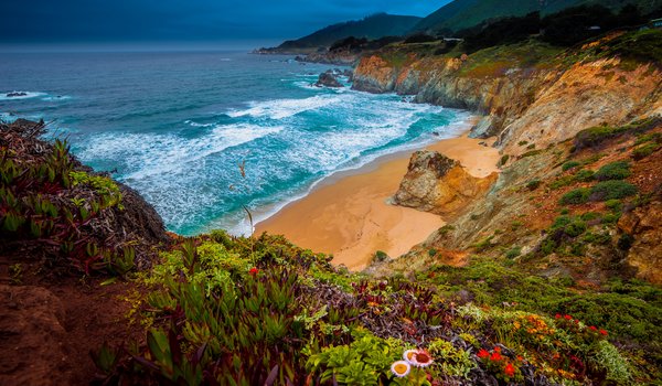 Обои на рабочий стол: Big Sur, california, Julia Pfeiffer Burns State Park, Pacific Ocean, Биг-Сур. Клифорния, океан, Парк Джулия Пфайфер Бернс, пляж, побережье, скалы, тихий океан, цветы