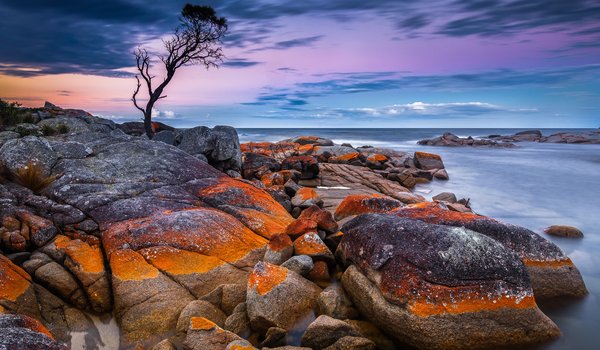 Обои на рабочий стол: Binalong Bay, Tasmania, австралия, горизонт, дерево, камни, море, небо, побережье