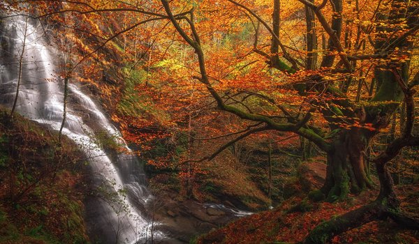 Обои на рабочий стол: Basque Country, Biscay, spain, Uguna Waterfall, Бискайя, водопад, деревья, испания, каскад, лес, осень, Страна Басков