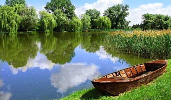 Обои на рабочий стол: beautiful landscape, boat, field, forest, lake