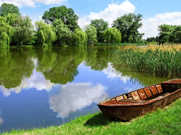 beautiful landscape, boat, field, forest, lake