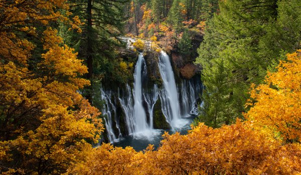 Обои на рабочий стол: Burney Falls, california, водопады, Водопады Бёрни, деревья, калифорния, каскад, лес, осень