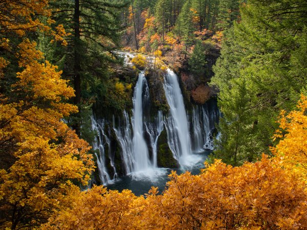 Burney Falls, california, водопады, Водопады Бёрни, деревья, калифорния, каскад, лес, осень