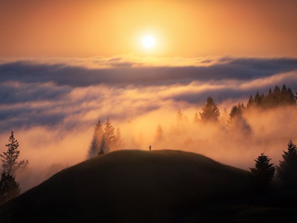 california, clouds, fog, forest, hills, landscape, men, mist, nature, photography, silhouette, sky, sun, trees, United States of America, usa