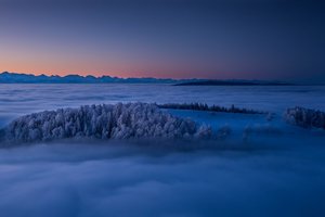 Обои на рабочий стол: Canton Jura, Jura Mountains, switzerland, восход, горы, горы Юра, деревья, зима, рассвет, туман, швейцария, Юра