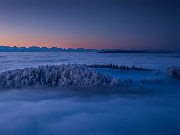 Canton Jura, Jura Mountains, switzerland, восход, горы, горы Юра, деревья, зима, рассвет, туман, швейцария, Юра