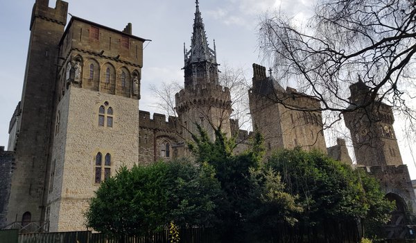 Обои на рабочий стол: Cardiff Castle, Wales, деревья, замок Кардифф, небо, облака, средневековая архитектура, Уэльс