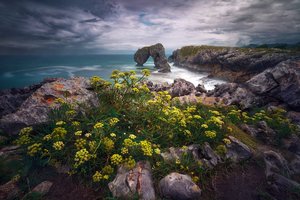 Обои на рабочий стол: Asturias, Castro de las Gaviotas, espana