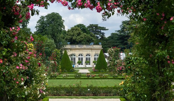 Обои на рабочий стол: Château de Bagatelle, france, Parc de Bagatelle, paris, дворец, Дворец Багатель, деревья, кусты, париж, парк, Парк Багатель, розы, франция, цветы