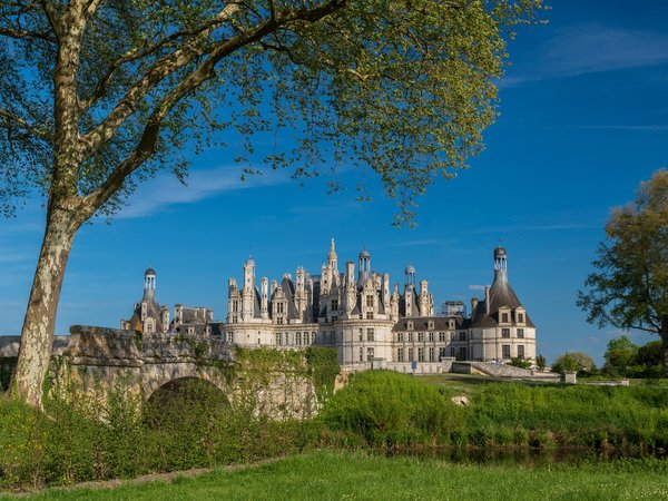 Chambord, Château de Chambord, france, Loire Valley, деревья, Долина Луары, замок, Замок Шамбор, мост, река, франция
