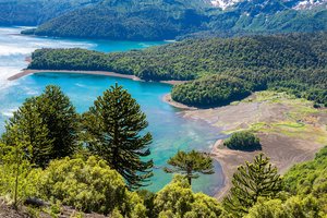 Обои на рабочий стол: Conguillio National Park, лес, парк, побережье, чили